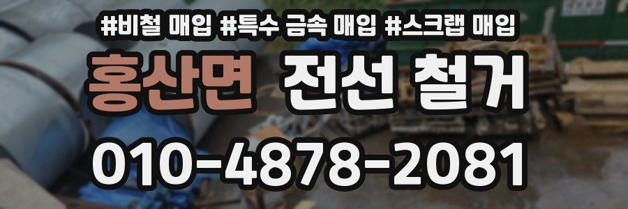 홍산면 전선 철거