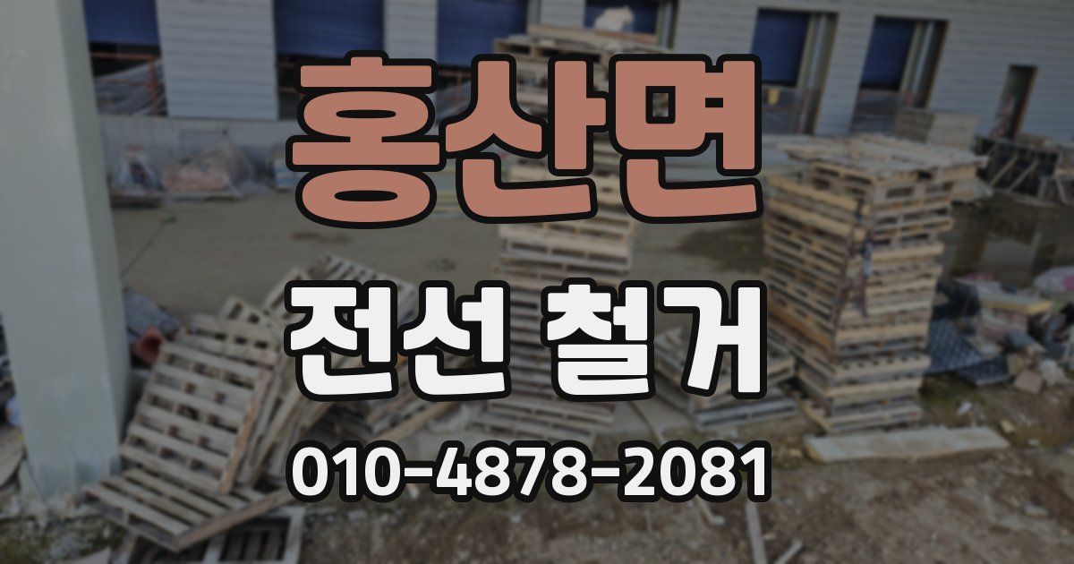 홍산면 전선 철거