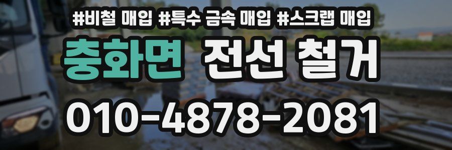 충화면 전선 철거