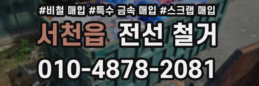 서천읍 전선 철거