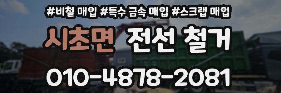 시초면 전선 철거