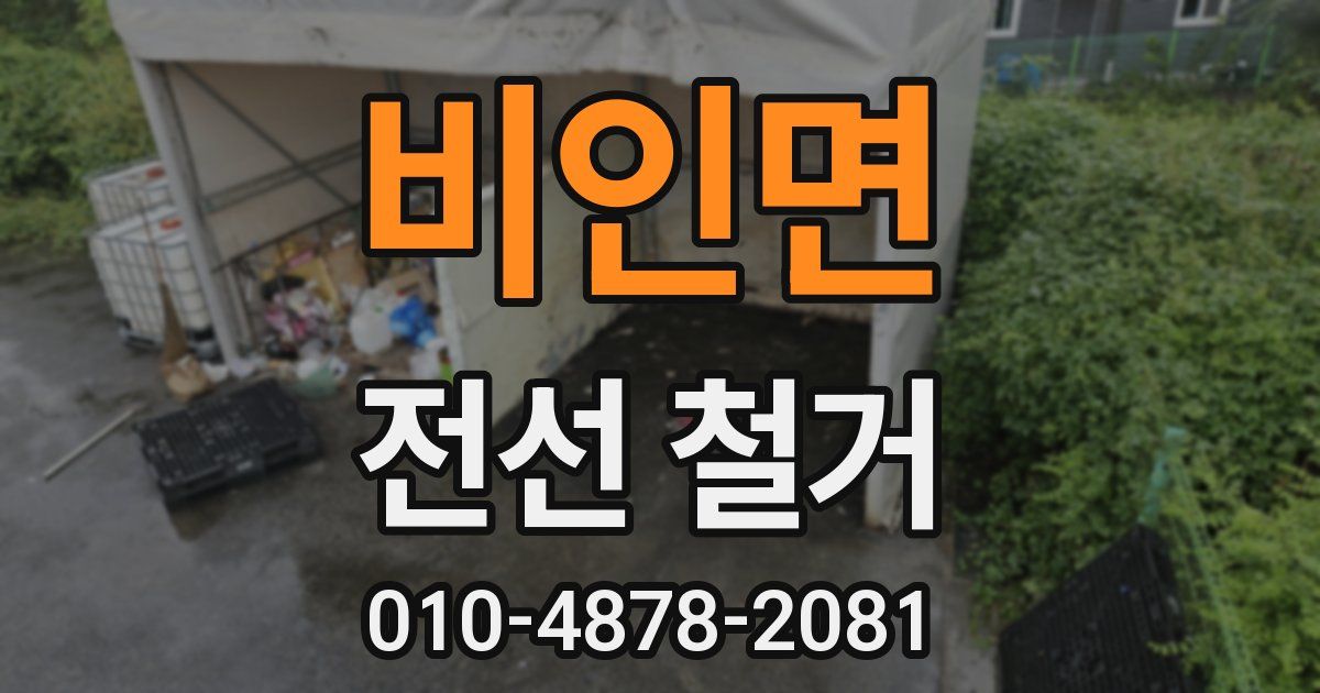 비인면 전선 철거