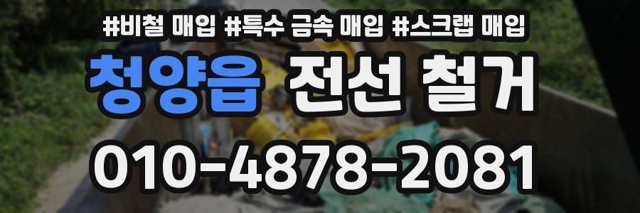 청양읍 전선 철거