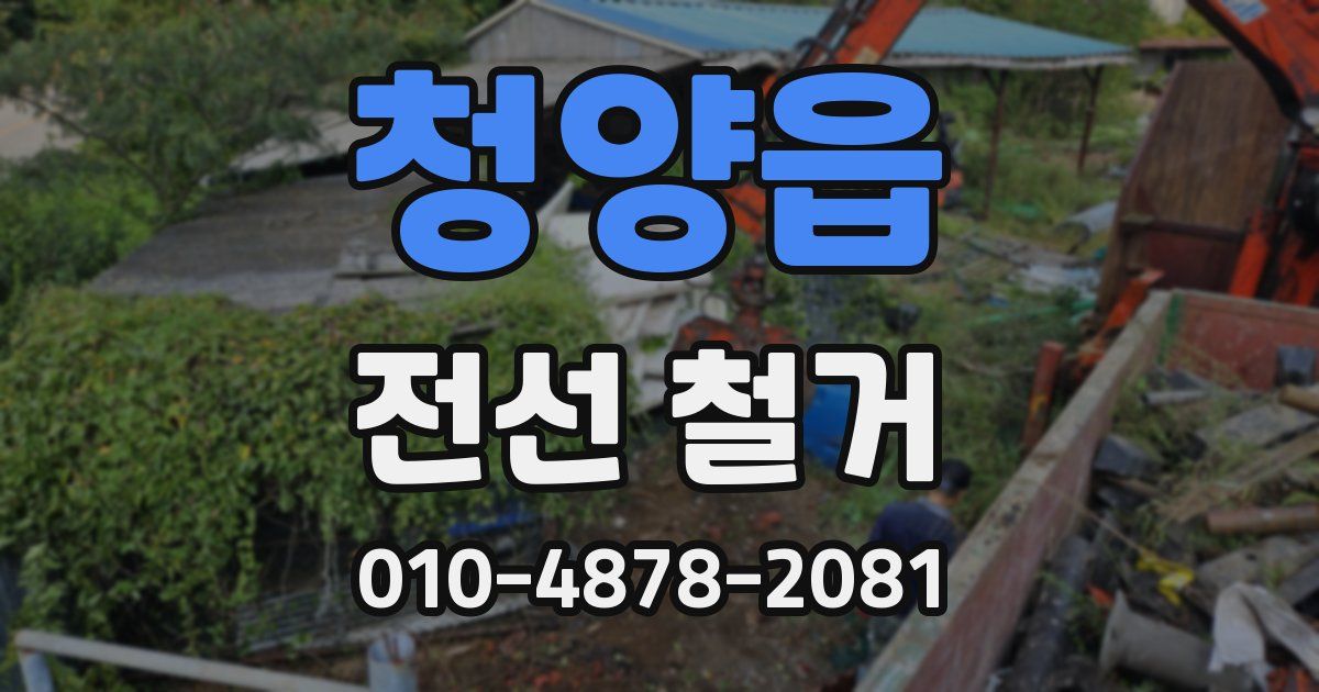 청양읍 전선 철거