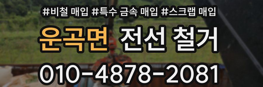 운곡면 전선 철거
