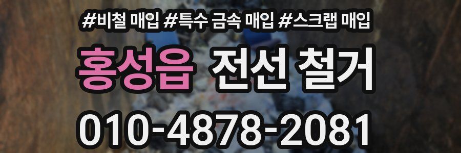 홍성읍 전선 철거