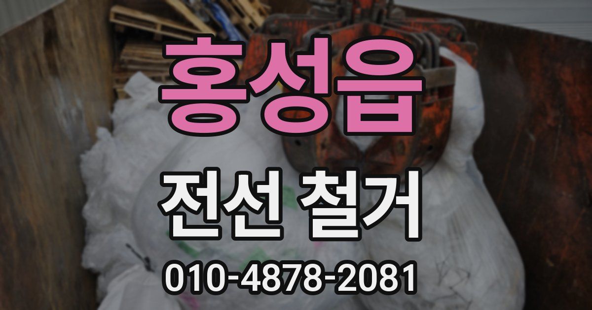 홍성읍 전선 철거