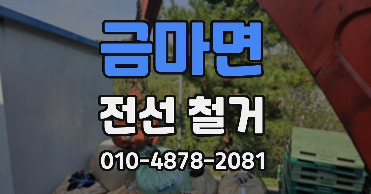금마면 전선 철거