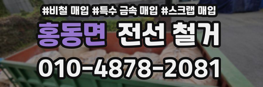 홍동면 전선 철거