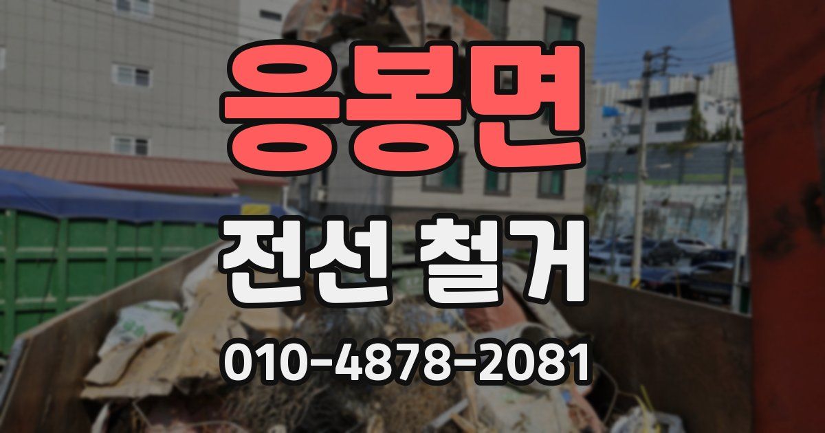 응봉면 전선 철거