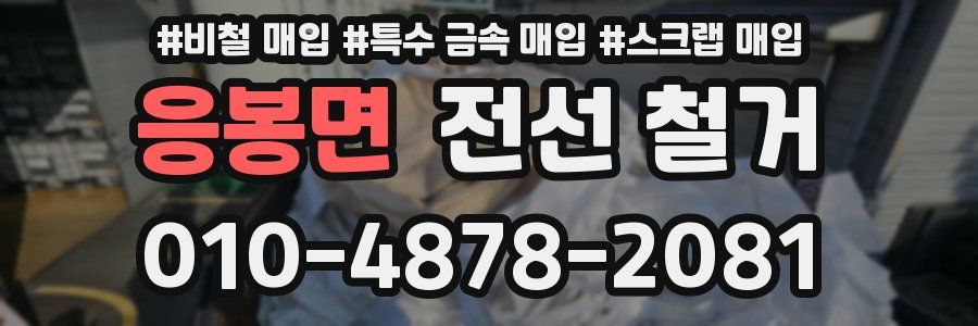 응봉면 전선 철거
