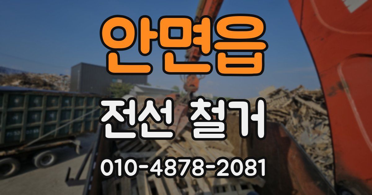 안면읍 전선 철거