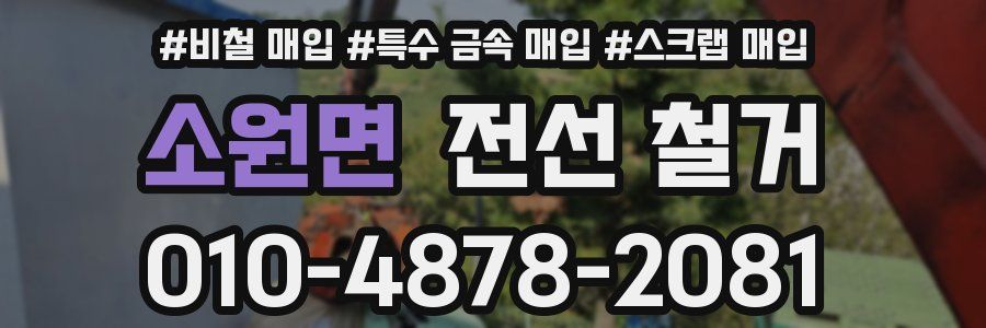 소원면 전선 철거