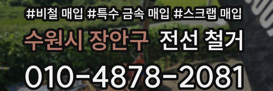 수원시 장안구 전선 철거