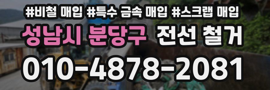 성남시 분당구 전선 철거