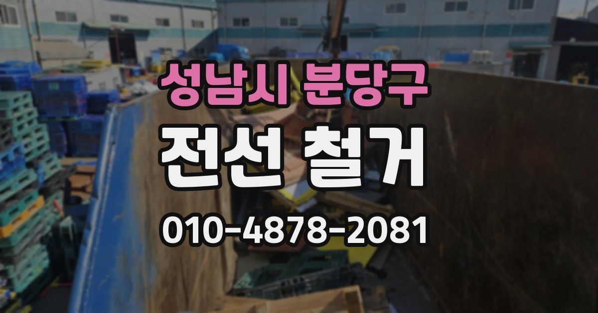 성남시 분당구 전선 철거