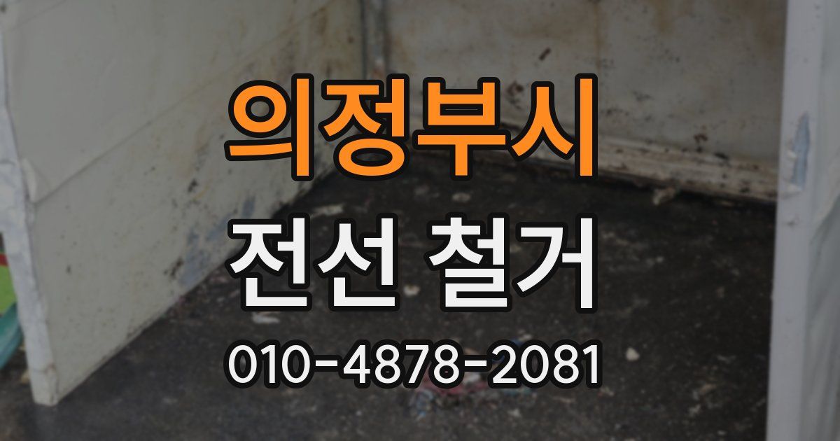 의정부시 전선 철거
