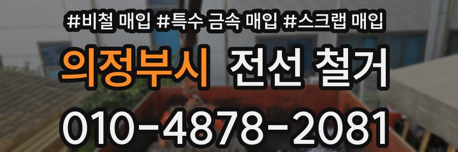 의정부시 전선 철거