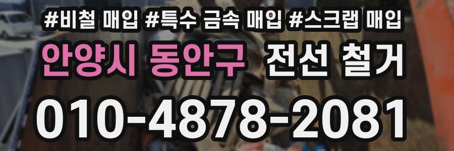 안양시 동안구 전선 철거