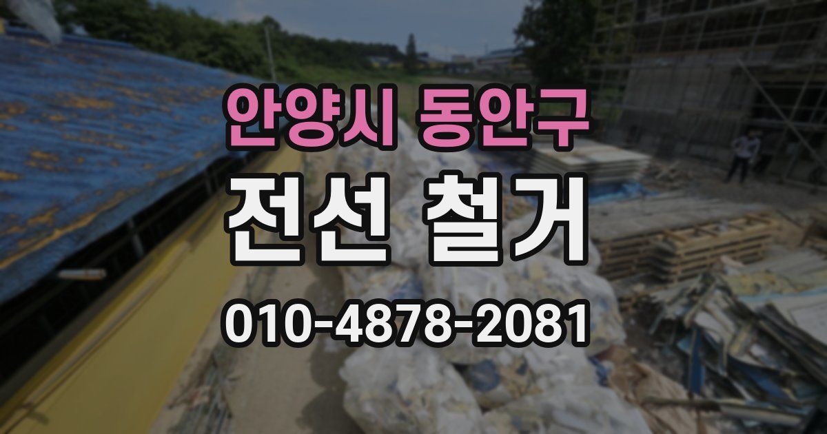안양시 동안구 전선 철거