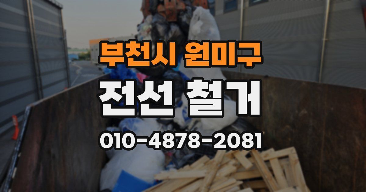 부천시 원미구 전선 철거