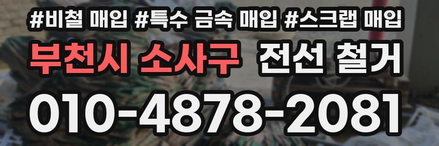 부천시 소사구 전선 철거
