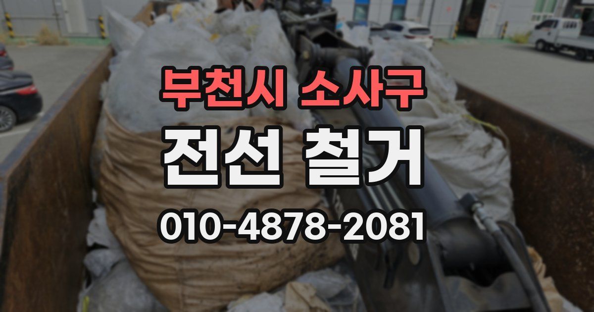 부천시 소사구 전선 철거