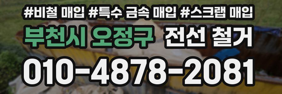 부천시 오정구 전선 철거