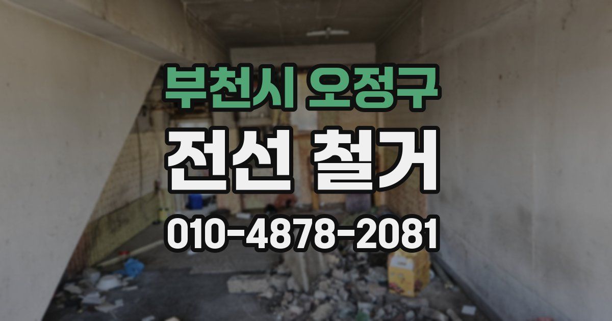 부천시 오정구 전선 철거