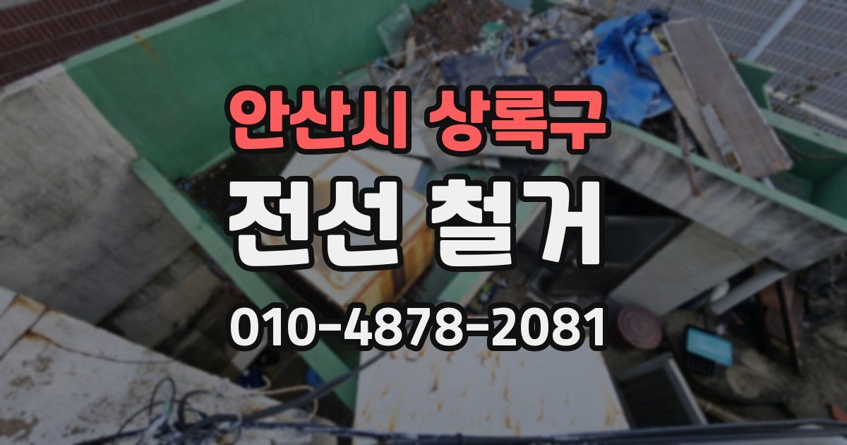 안산시 상록구 전선 철거