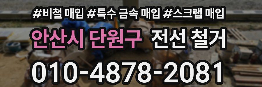 안산시 단원구 전선 철거