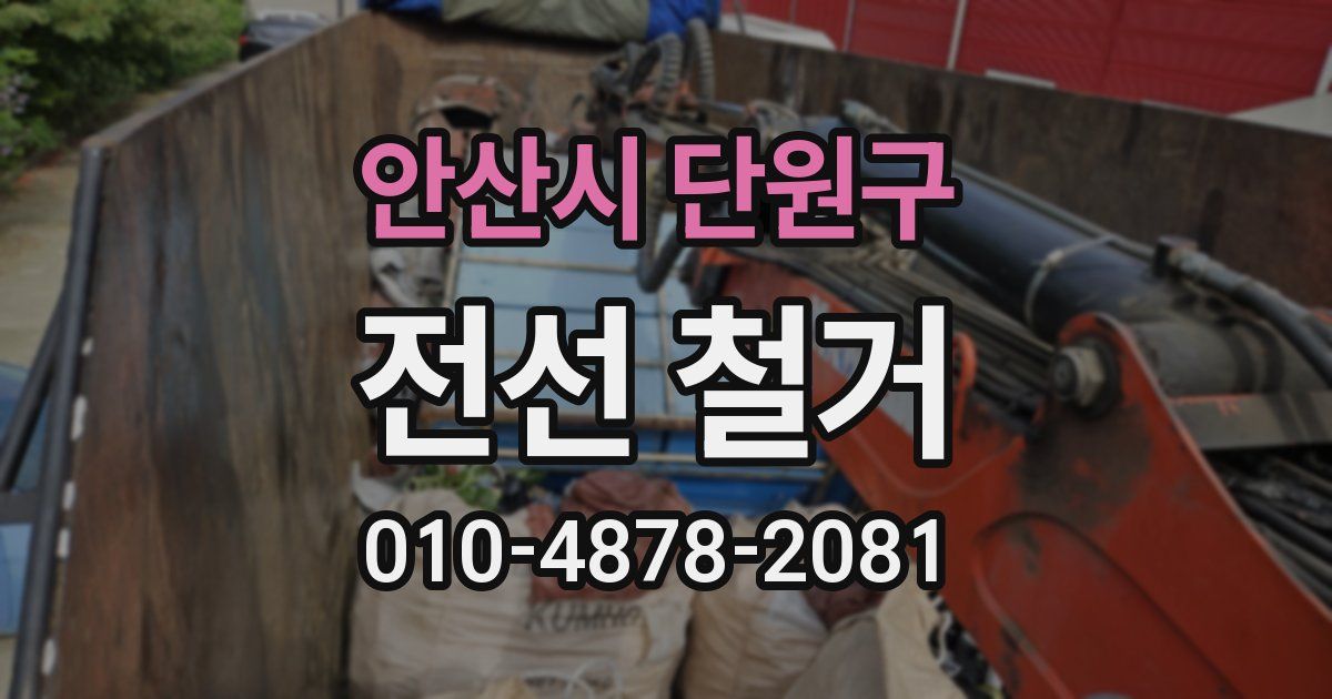안산시 단원구 전선 철거