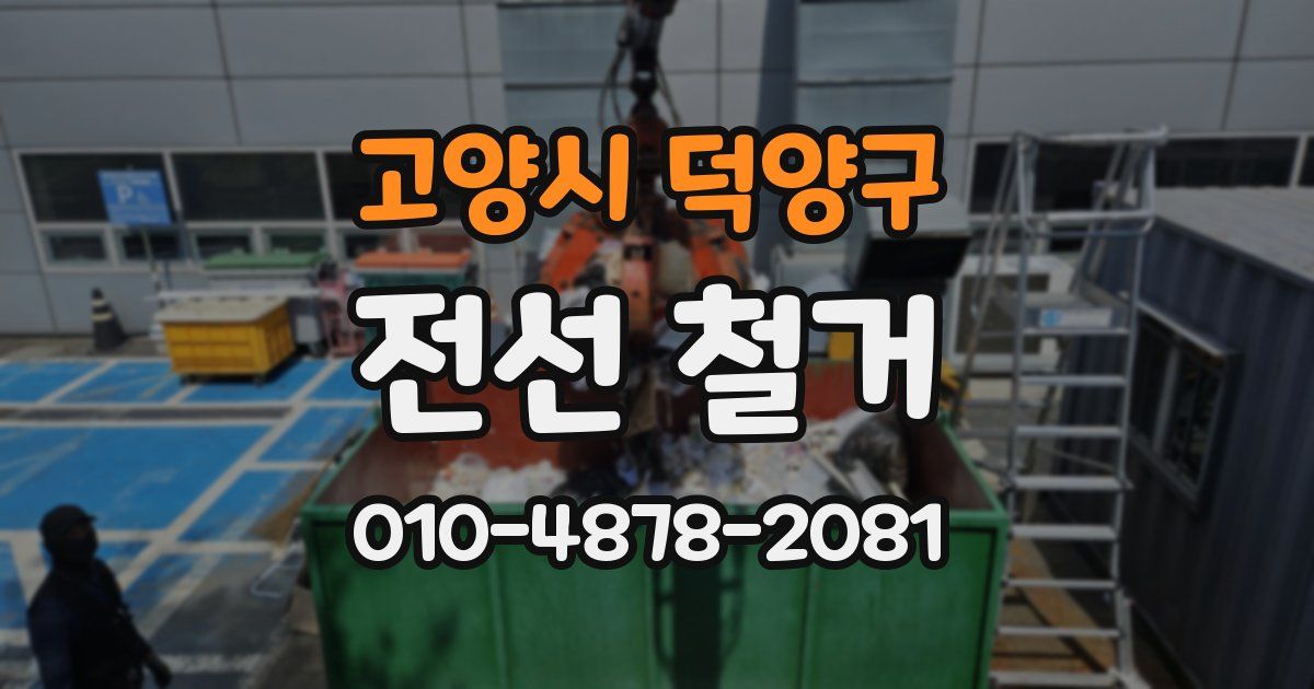 고양시 덕양구 전선 철거