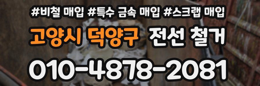 고양시 덕양구 전선 철거
