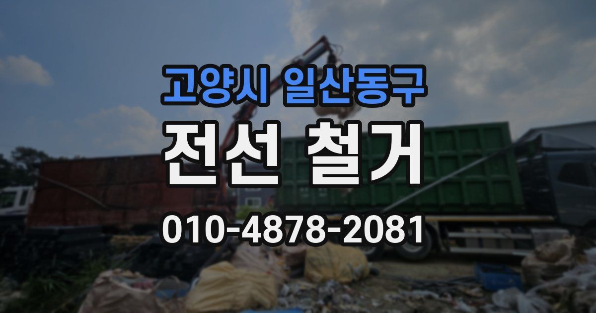 고양시 일산동구 전선 철거
