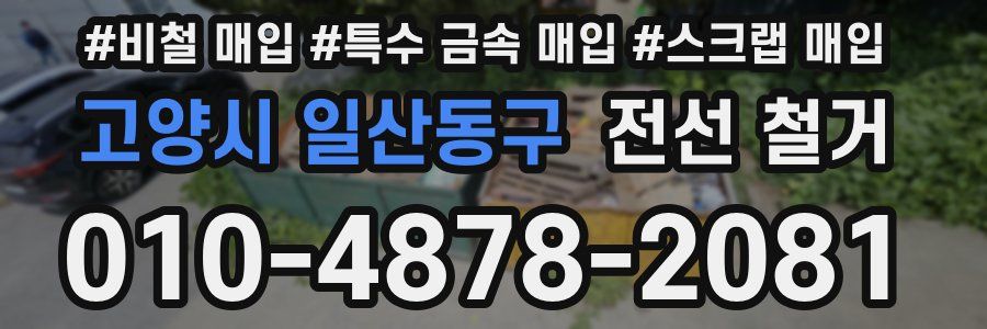 고양시 일산동구 전선 철거