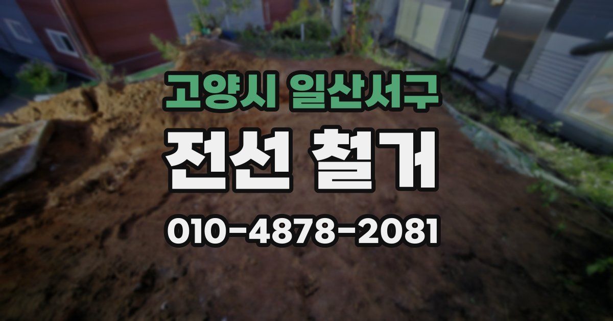 고양시 일산서구 전선 철거