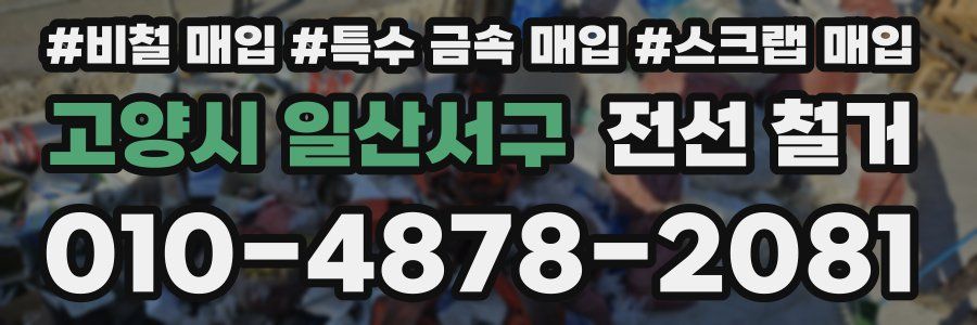 고양시 일산서구 전선 철거