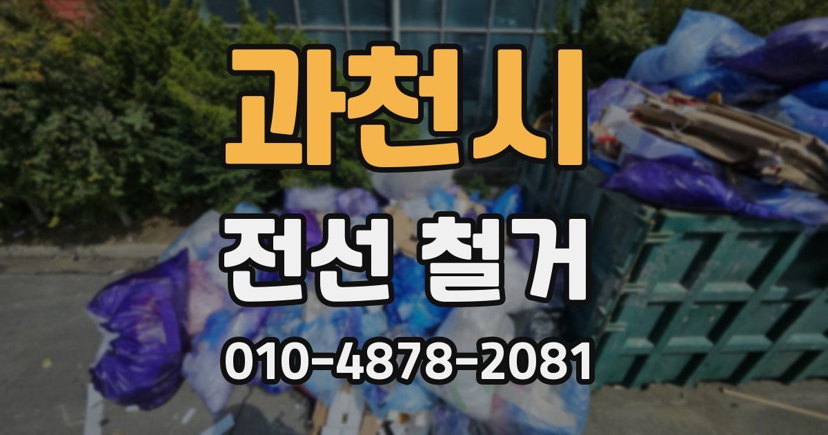 과천시 전선 철거