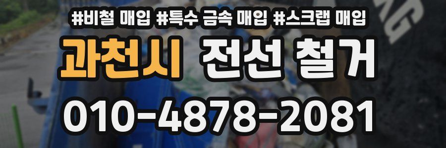 과천시 전선 철거