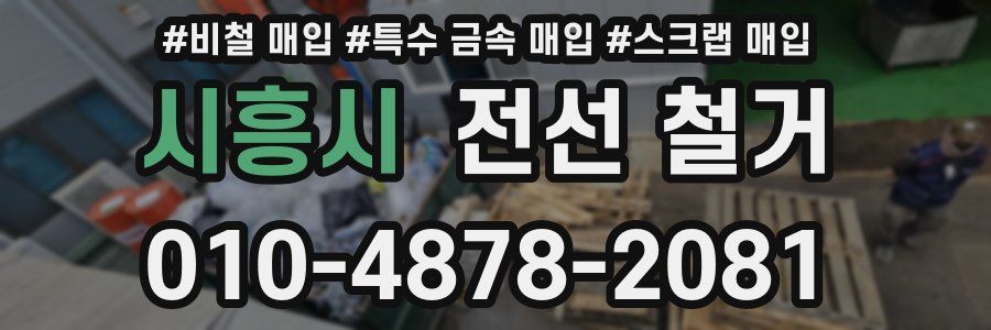 시흥시 전선 철거
