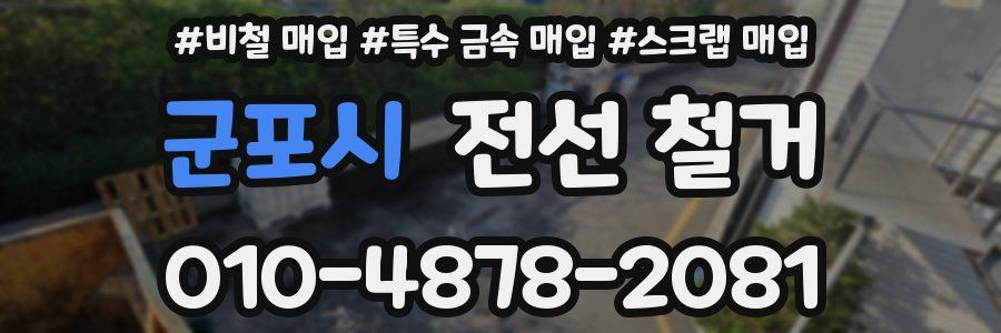 군포시 전선 철거
