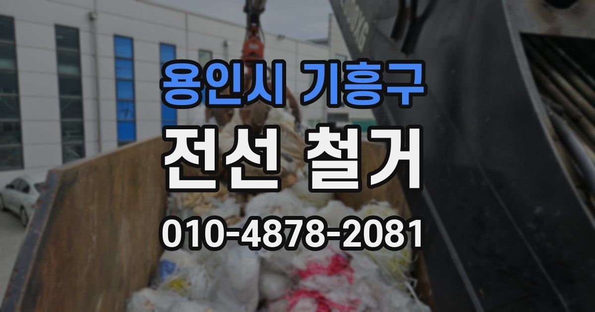용인시 기흥구 전선 철거