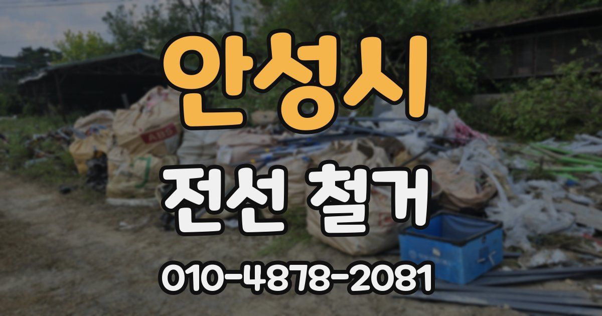 안성시 전선 철거