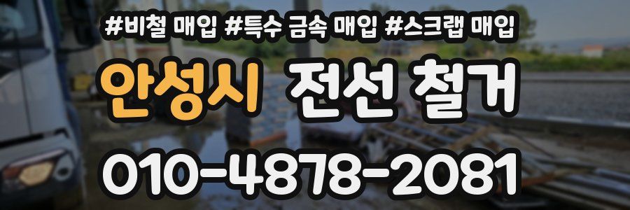 안성시 전선 철거