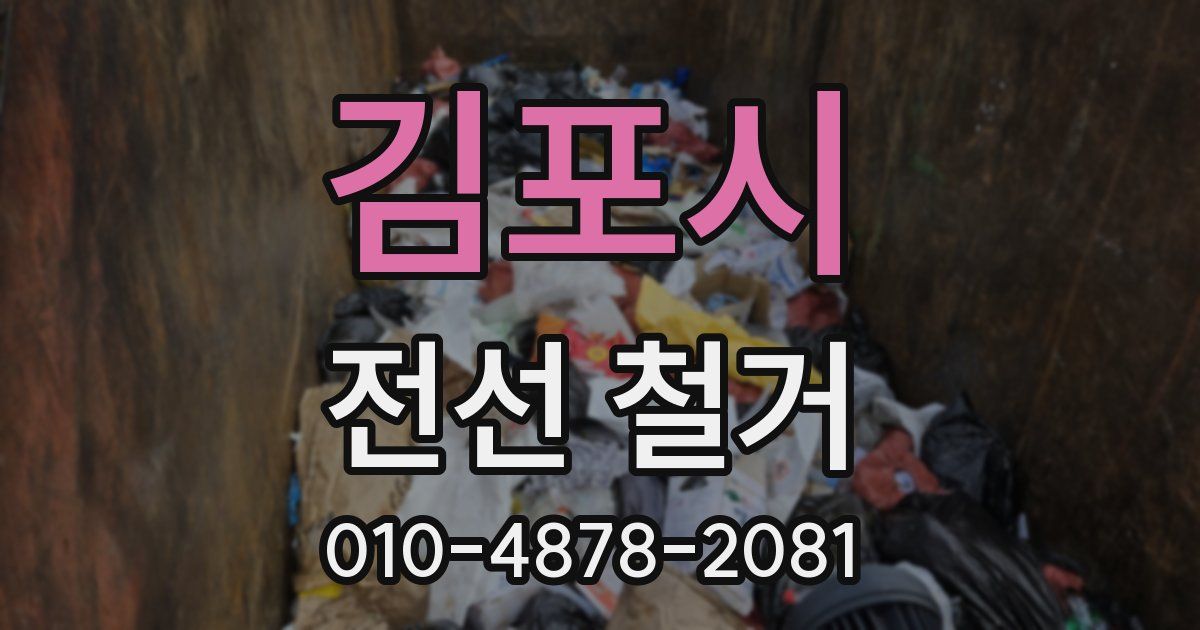 김포시 전선 철거