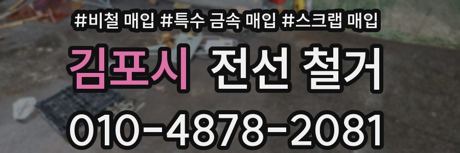 김포시 전선 철거