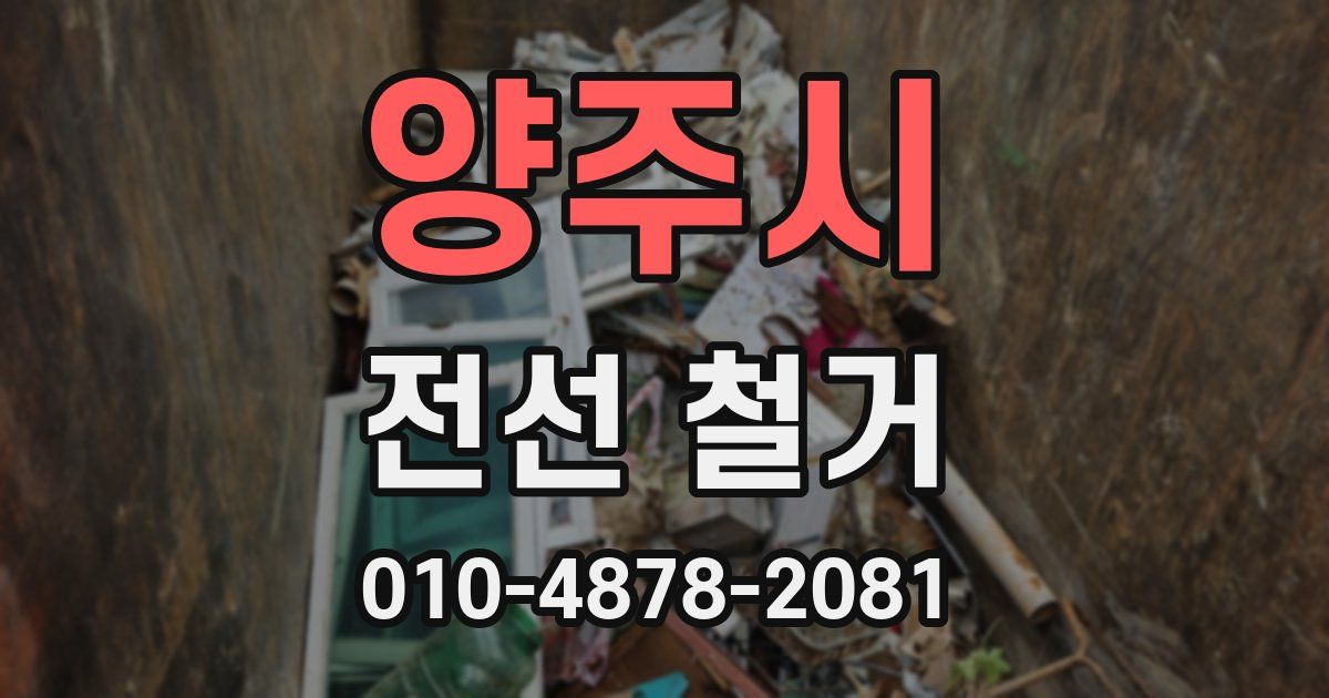 양주시 전선 철거