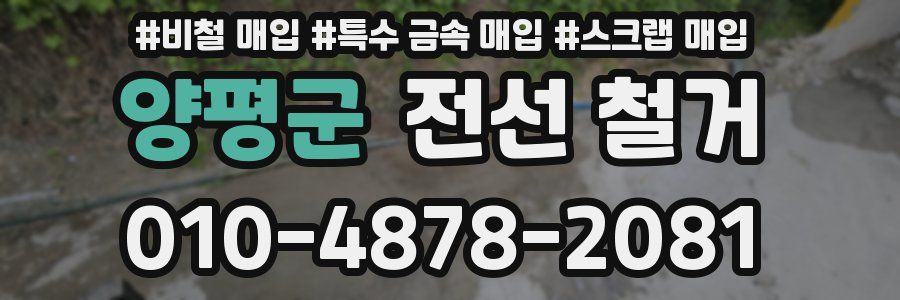 양평군 전선 철거