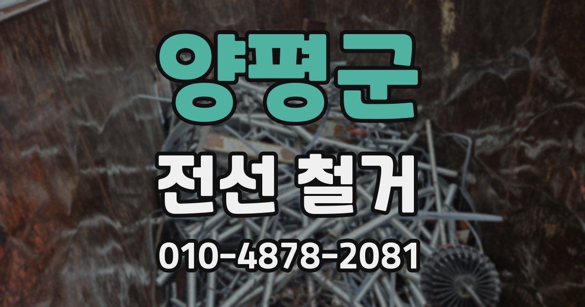 양평군 전선 철거